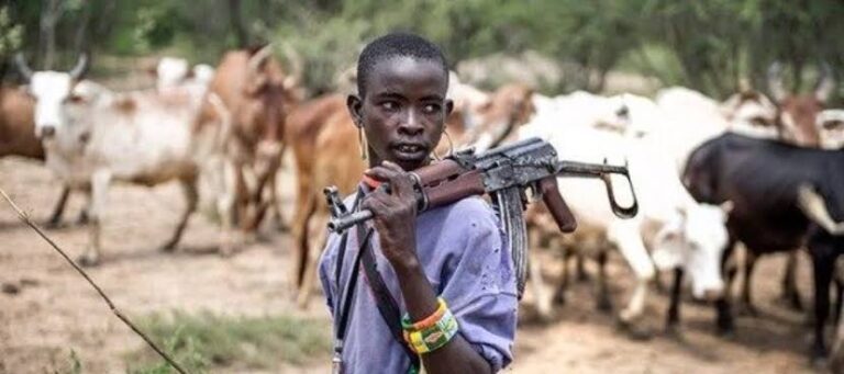 Herdsmen On Rampage Murders Priest, 17 Others In Ebonyi.