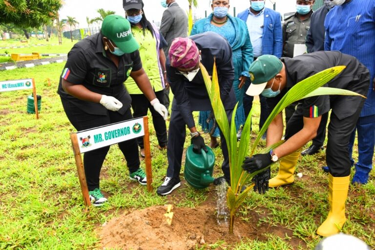 Consistent tree planting essential to reverse degradation of environment – Sanwo-Olu