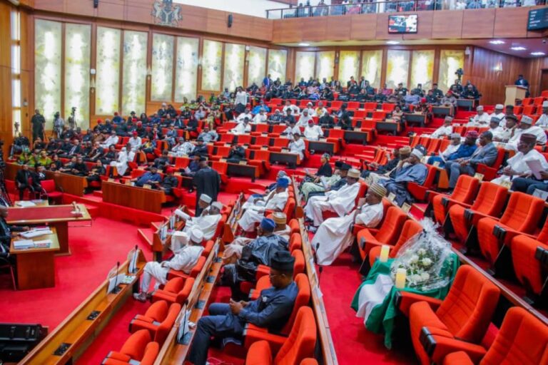 NASS grants full autonomy to LGAs as INEC takes mandate of conducting council elections