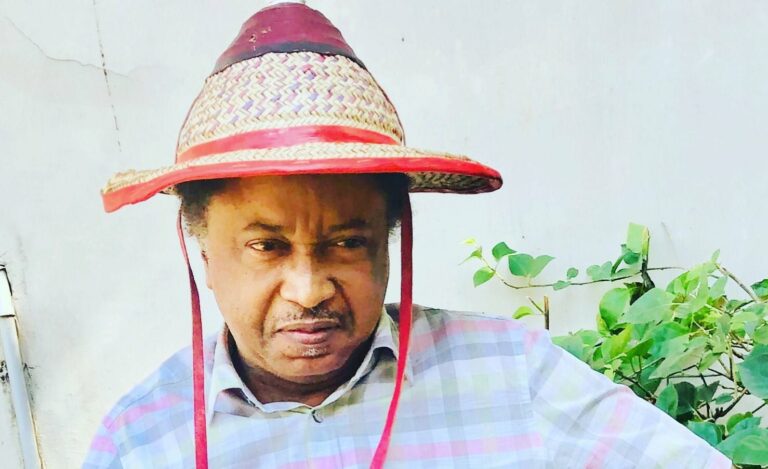 SHEHU SANI- NIGERIAN LEADERS OUT OF IDEAS TO TACKLE INSECURITY