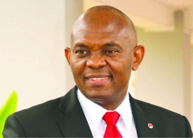 TONY ELUMELU FOUNDATION GRANTS $16.8M SEED CAPITAL TO 3,369 FEMALE ENTREPRENEURS
