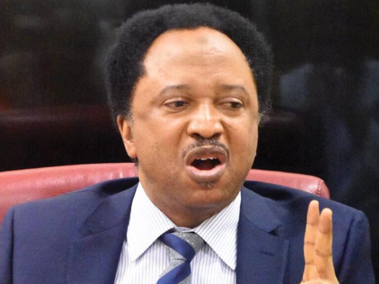 2023: YOUTHS SHOULD EFFECTIVELY PARTICIPATE IN POLITICS -SHEHU SANI