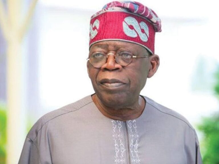 Tinubu apologises for his misleading comment on INEC’s PVC