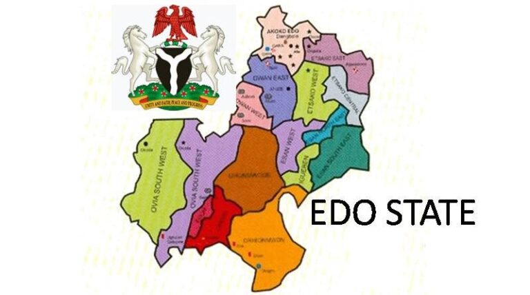 Edo begins process of forest allocation to timber concessionaires
