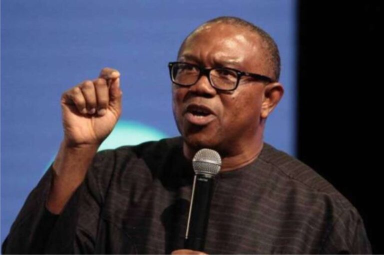 Peter Obi’ll Deliver Good Governance – Support Group