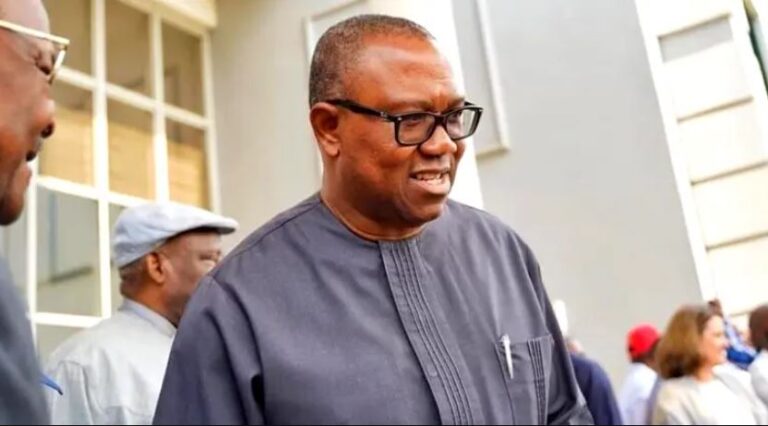 Nigerians In Canada Host Peter Obi Sunday 
