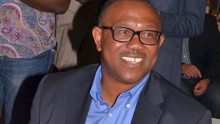 Peter Obi Movement Shuts Down Kebbi, Targets 150million Votes 