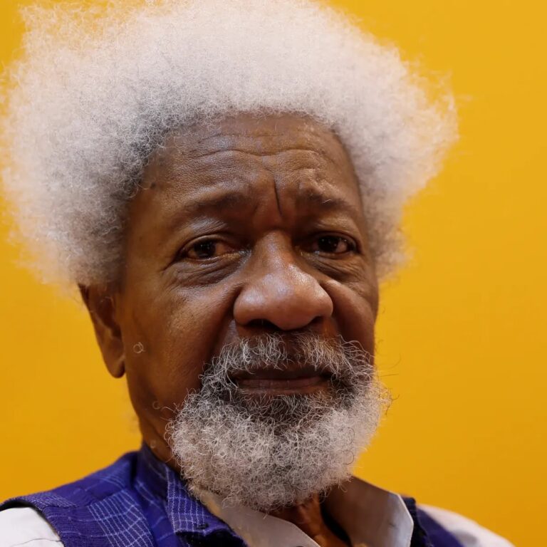 “I don’t give a damn if the President, V-President and Speaker comes from the same village: Wole Soyinka.