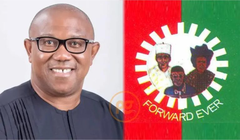 PDP chieftain, followers defect to Labour Party in Kaduna