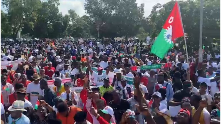 Supporters of Peter Obi march in Abuja