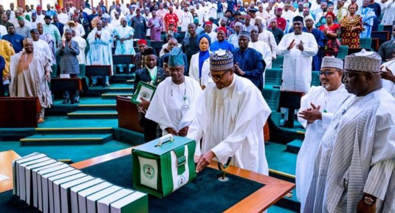 N20.5tn budget: Experts criticize FG’s borrowing strategy and subsidies