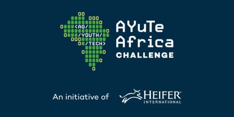 Five finalists jostle for AYuTe Africa challenge grand prize