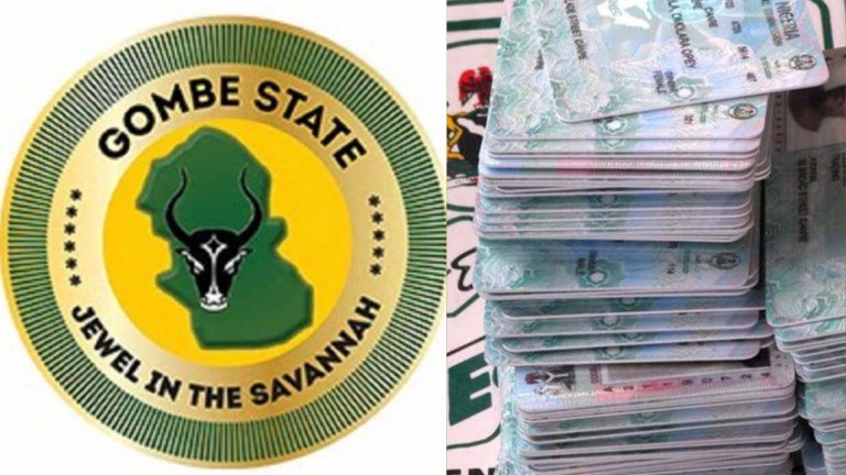 Gombe records 89,880 uncollected PVCs