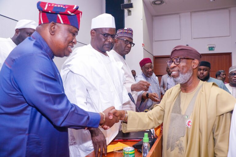 Budget Defence: NASS Committee Pledges Support for Solid Minerals