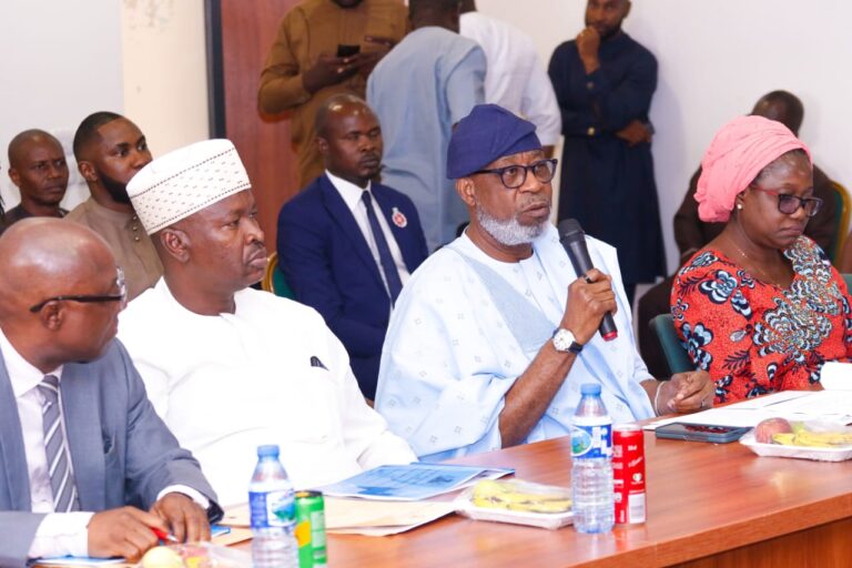 Reps Committee Pledges Improved Funding for Solid Minerals Sector
