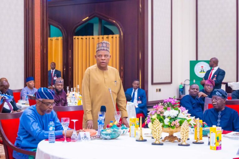VP SHETTIMA: POSTERITY WILL REMEMBER PRESIDENT TINUBU AS A DECISIVE LEADER