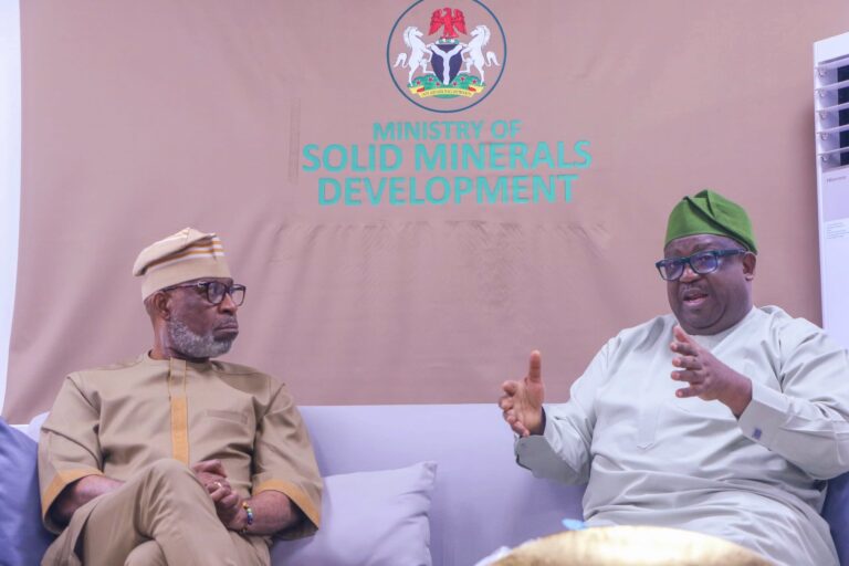 Forensic Audit Of Mining Sector Underway – Alake Assures