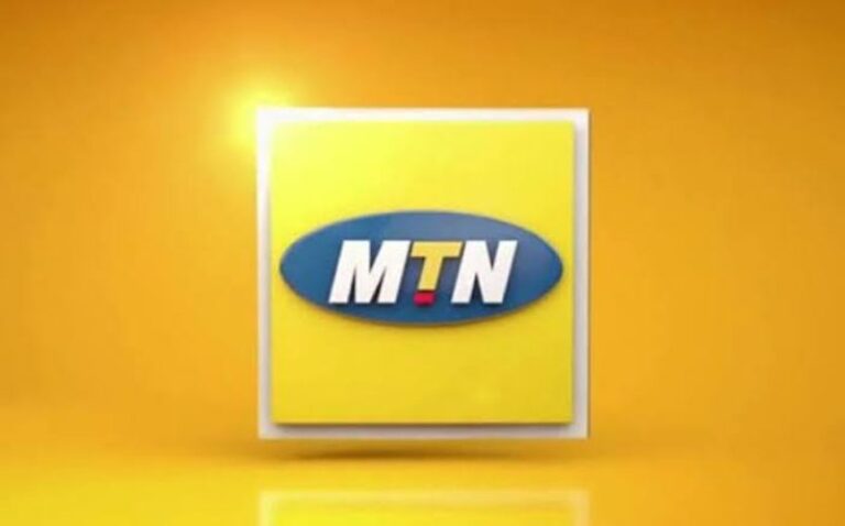 FG grants MTN, others permits to generate electricity