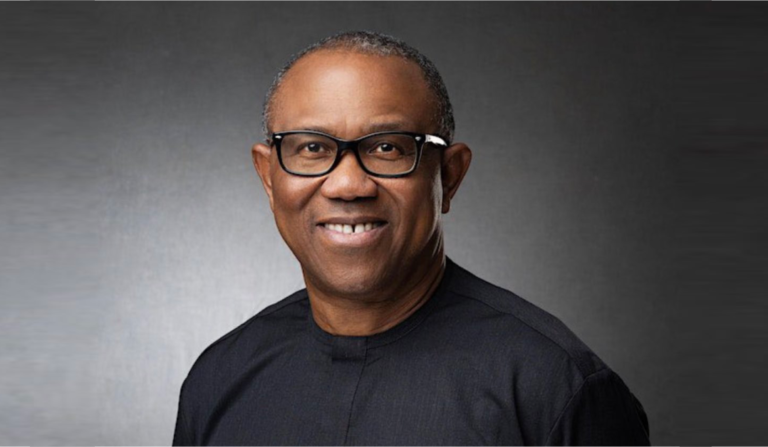 Peter Obi 2027 election plan and independent results monitoring