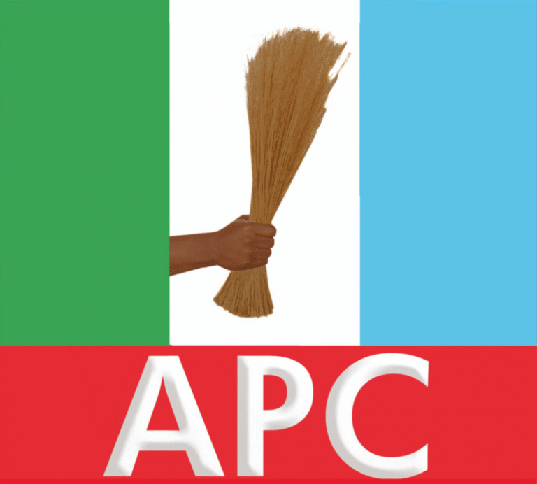 Chaos at APC Gombe Summit Over Shettima Snub