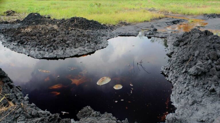 Troops Storm Niger Delta, Nab 62 Over Massive Oil Theft