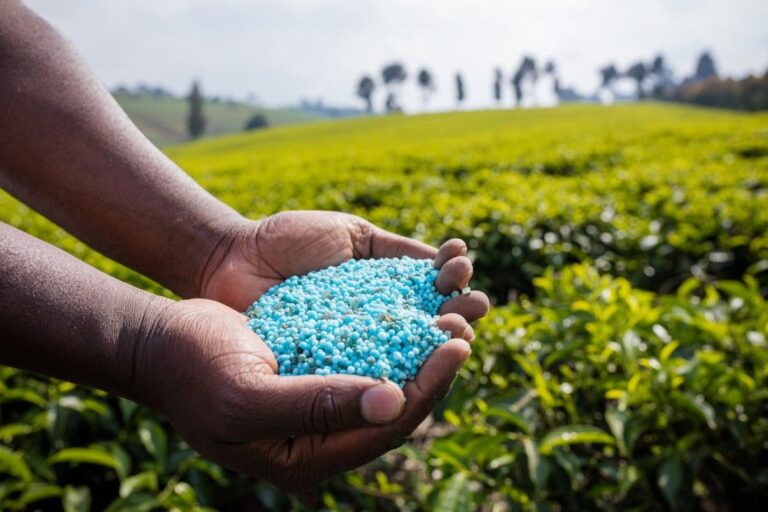 Uba Sani Stuns Kaduna with Free Fertilizer for 100,000 Farmers