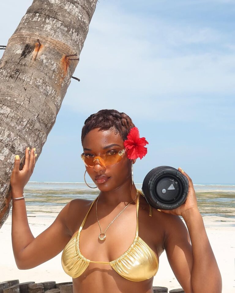 Ayra Starr Headlines AfroNation Punta Cana in Global Afrobeats Takeover