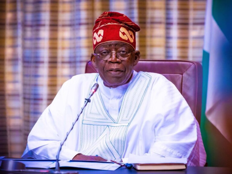 Tinubu Bans Raw Shea Exports to Boost Nigeria’s $6.5bn Market Share   