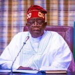 Tinubu promotes Nigeria gas resources for jobs and exports