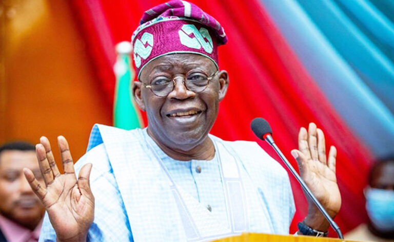 What Tinubu’s New Executive Order Means for States and Local Governments
