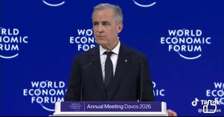 Task for Middle Powers in a Ruptured World Order