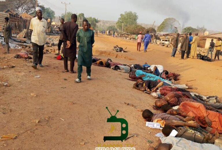 Boko Haram Terrorists Murder 170 People in My Backyard