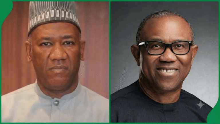 NDC responds to Datti Baba-Ahmed over Peter Obi claim