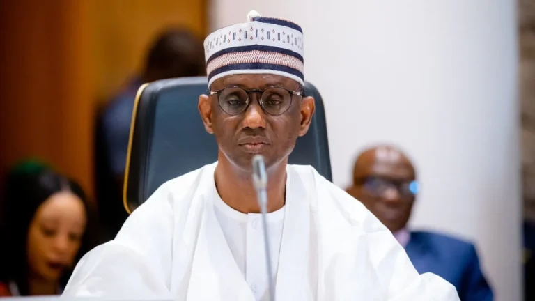 Nuhu Ribadu and NCCSALW illegal arms importation claims