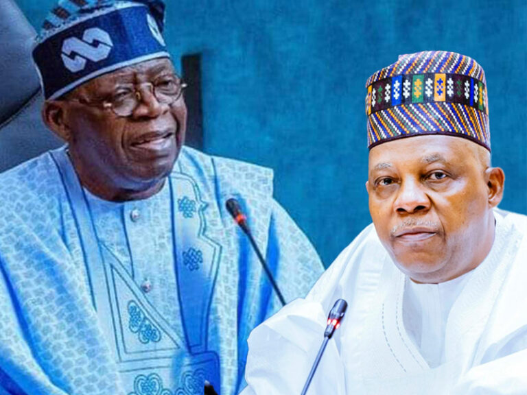 Tinubu 2027 Campaign as APC plans to highlight President Bola Tinubu’s achievements ahead of the presidential election.